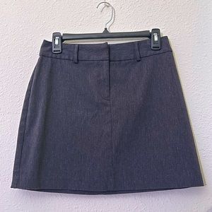 Express Mini Pencil Skirt